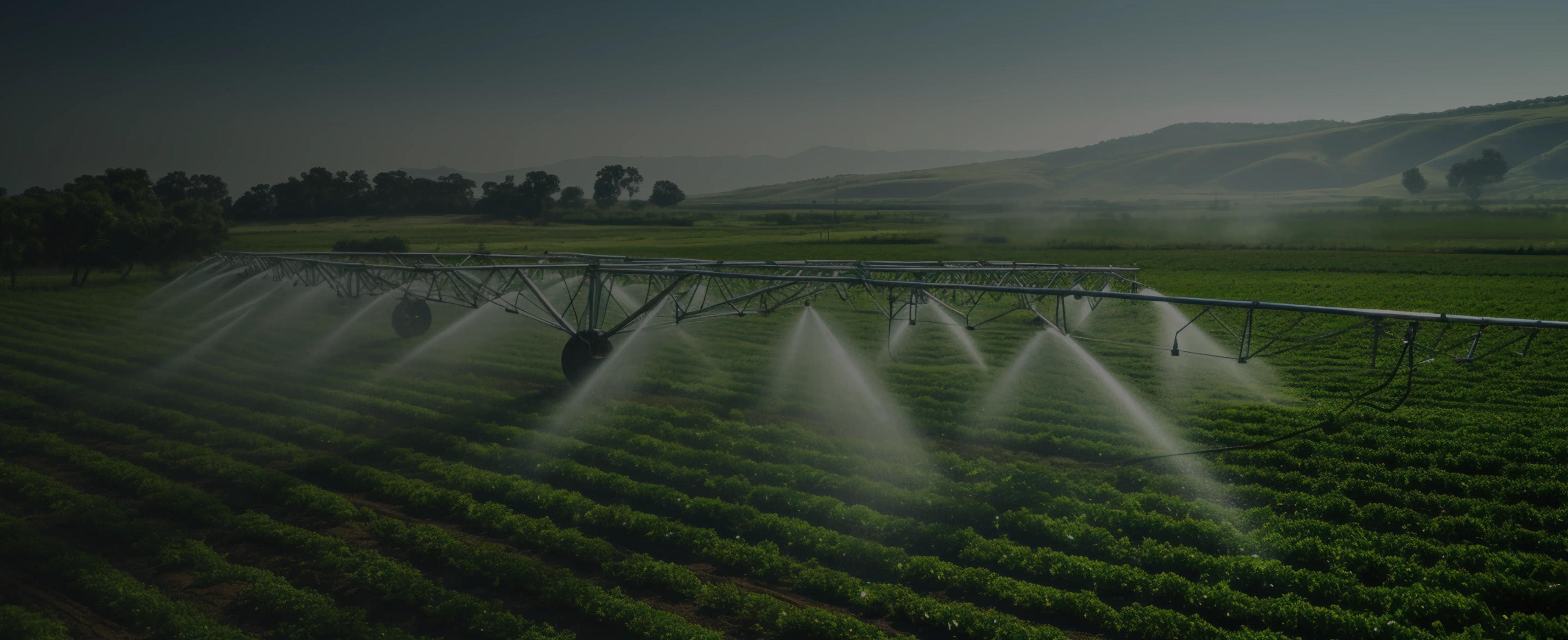 Agriculture Software Solutions