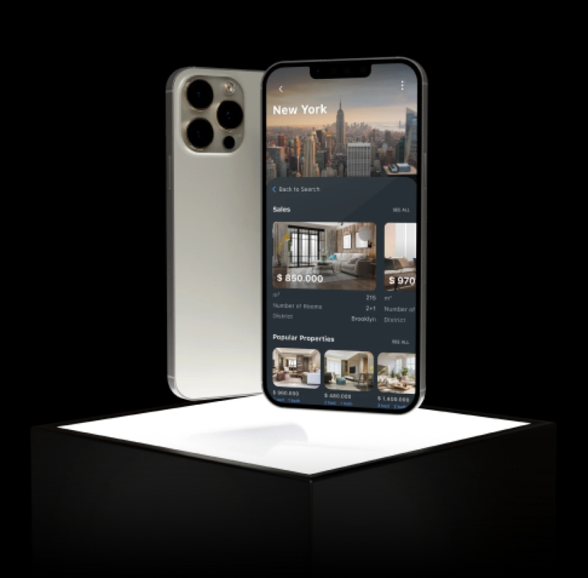 Real-estate search app design and development