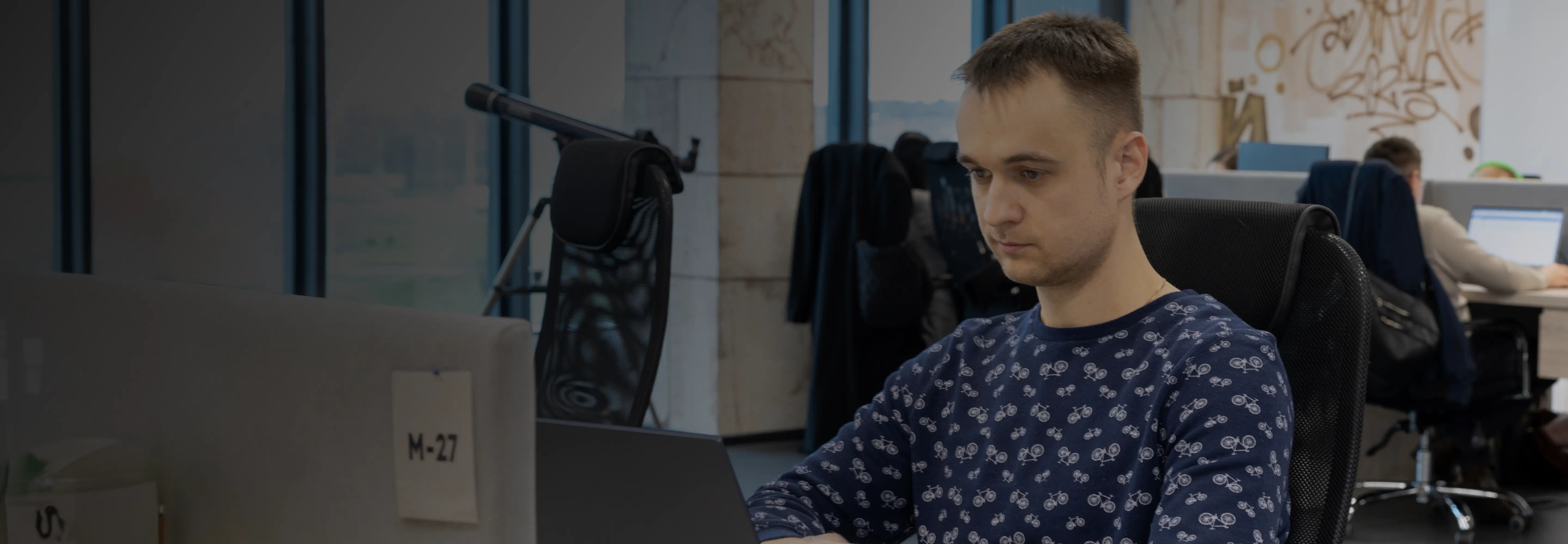 Custom software development