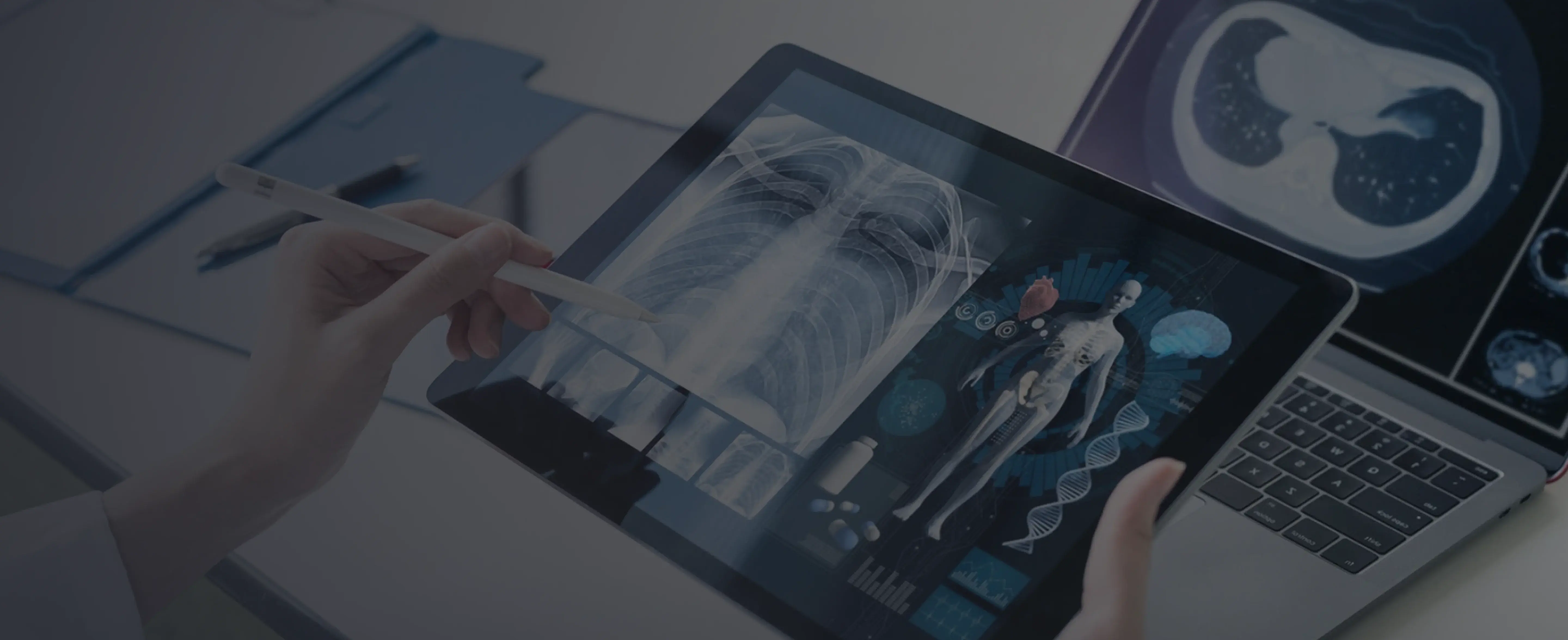 Healthcare Software Development
