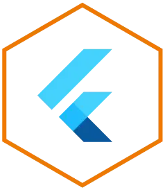 flutter app