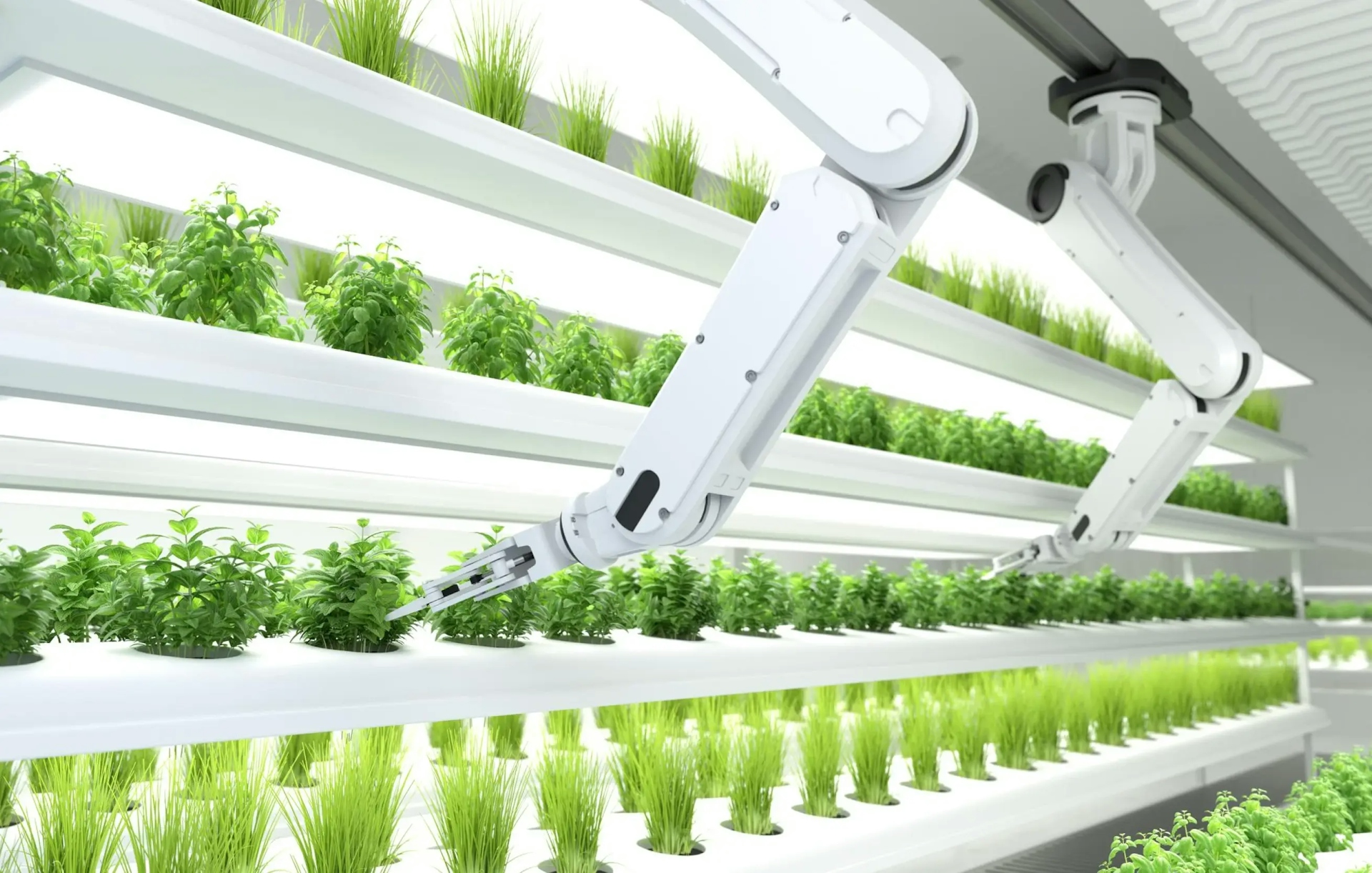 Smart robotic farmers