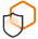 Software security standards