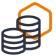 Software project prices